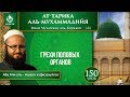 «Ат-Тарика аль-Мухаммадийя». Урок 150. Грехи половых органов | Azan.ru