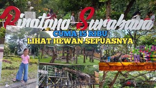 KBS KEREN ‼️KEBUN BINATANG SURABAYA TERBARU  MAKIN LENGKAP DAN BANYAK WAHANA BARU