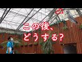 お兄さん来た!喜ぶハシビロコウのふたばちゃん…次はどうする?☆"The new Futaba" 5☆Shoebill FUTABA 2020_54☆Futaba on the roof!