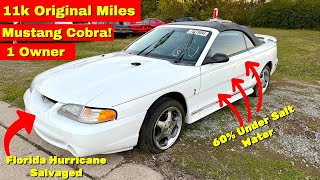 This 1 Owner 11k Mile Cobra was 60% Under Water - Can it be Saved