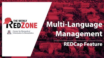 REDZone - Multi-Language Management