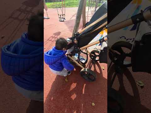 مابعرف شو لقى بسلة العربة