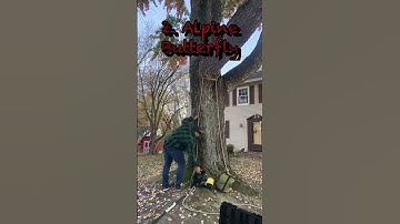 Solo GRCS setup #grcs #shorts #treelife #buckinexperience