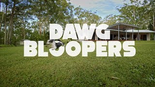 Dawg Bloopers - Jun 5Th
