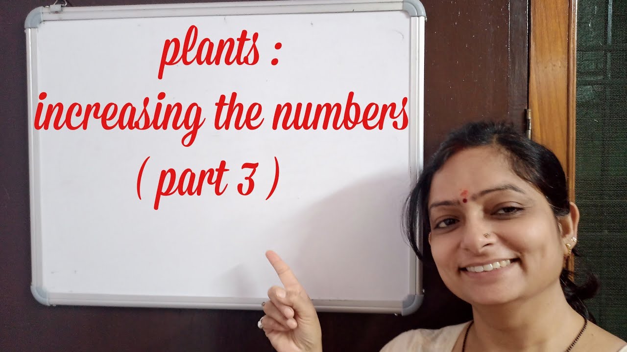 plants-increasing-the-numbers-part-3-science-class-5-youtube