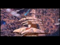 ver El planeta del tesoro pelicula completa en chille repelis