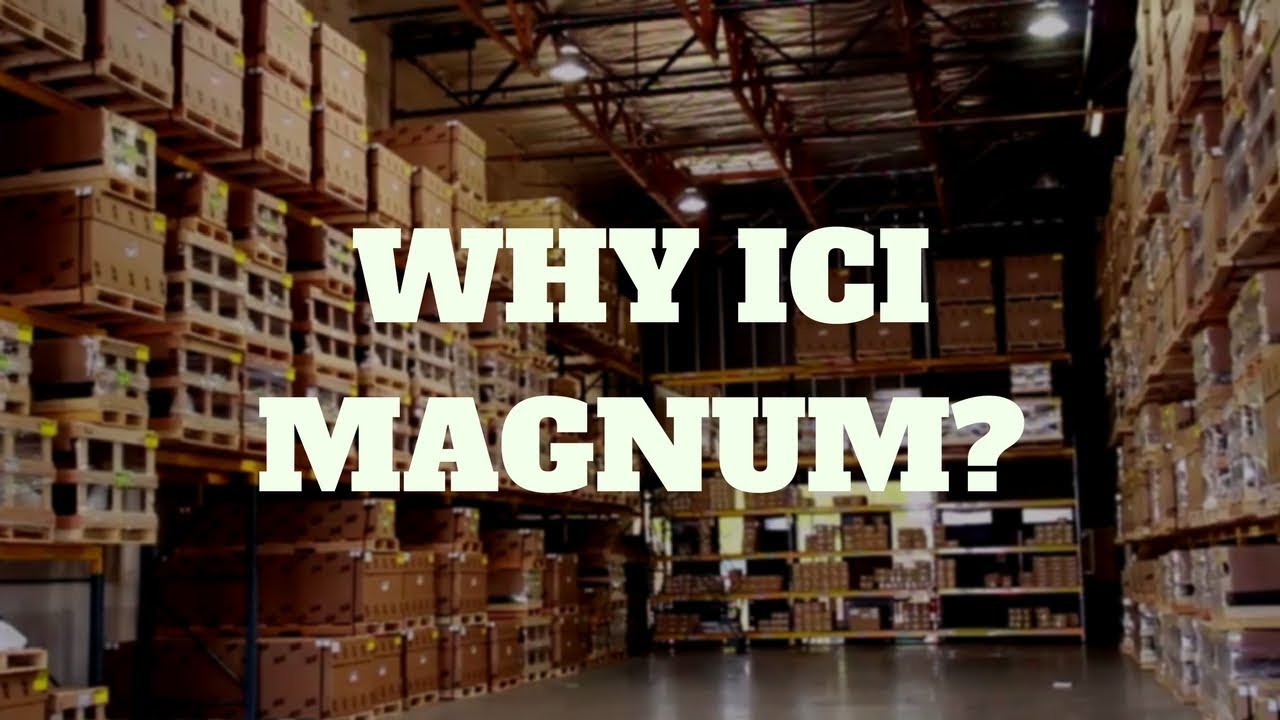 ICI Magnum Bumpers Tour