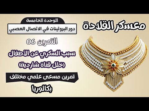 التحدي 6 والاخير تمرين ممتاز حول الاتصال العصبي معسكر القلادة بكالوريا