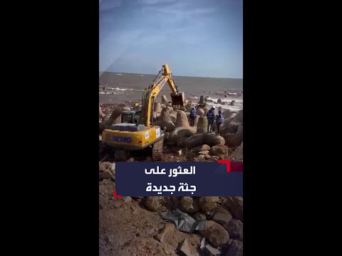 الحدث ترصد لحظة عثور فرق الإنقاذ الدولية على جثة جديدة في درنة المنكوبة