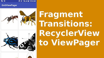 ANDROID FRAGMENT TRANSITIONS - RECYCLERVIEW TO VIEWPAGER