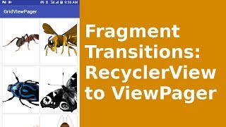 Information ANDROID FRAGMENT TRANSITIONS - RECYCLERVIEW TO VIEWPAGER News