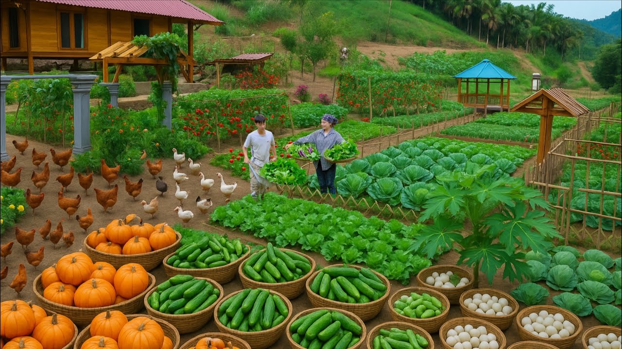 Visual Reference: 4 Years Off Grid Surviving With Farming Cooking Aquaculture