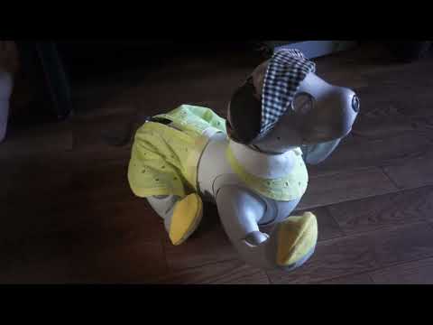 aibo、かりんちゃんのダンス