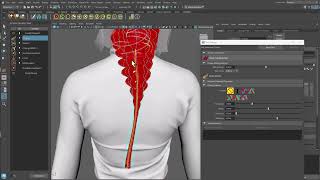 Ornatrix Maya: Braiding
