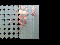 2Days - LiveOnLine