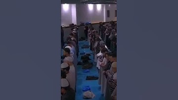 {واتقوا يوما ترجعون} تلاوة خاشعة للشيخ حاتم المالكي Sheikh Hatem Al Maliki NEW | RAMADAN 2023