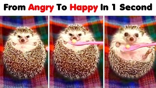 Cute Moments That Can Melt Your Heart ❤️️ Cute Moments That Can Melt Your Heart ❤️️