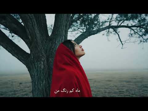 رویای صنوبر حسن آذرمهر     