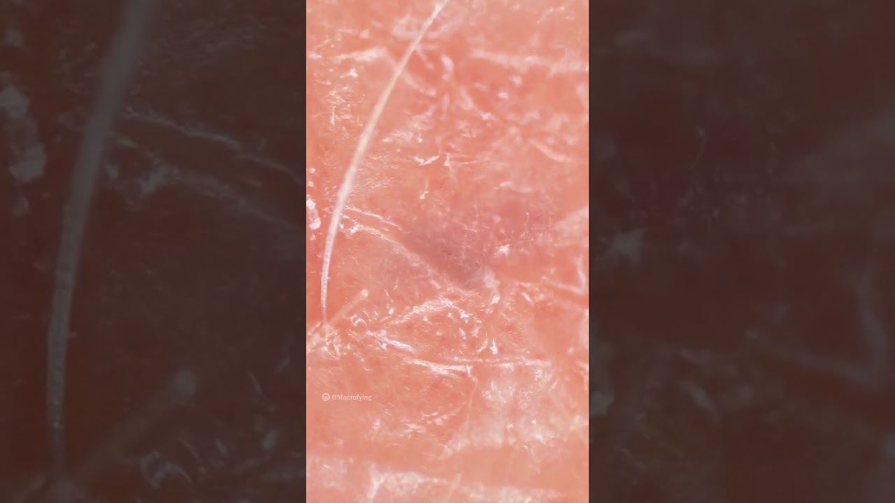 What A Hand Looks Like Very Close Up YouTube