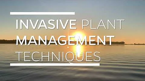 Invasive Plant Management Techniques