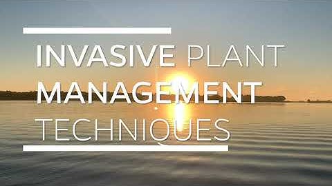 Invasive Plant Management Techniques