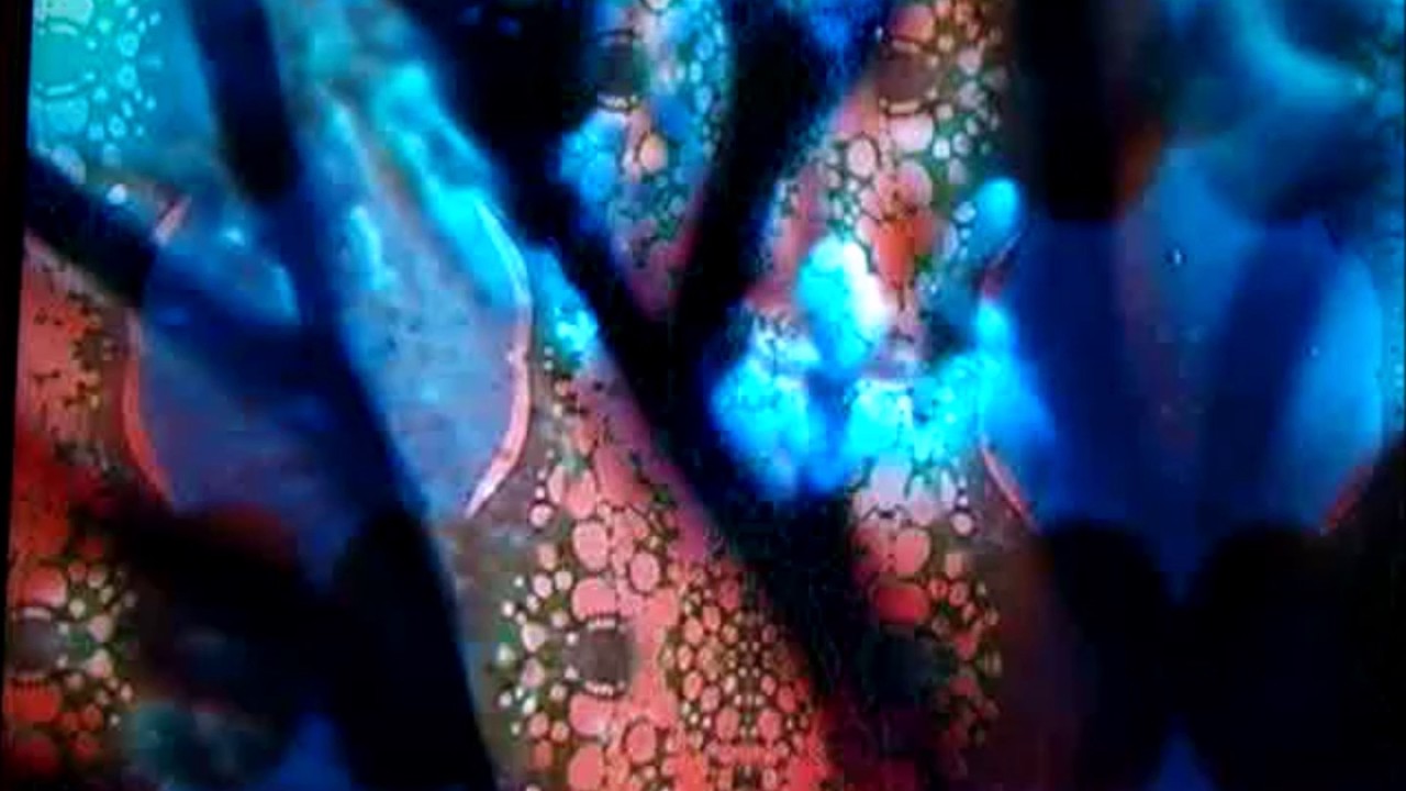 13TH ERICKSON Project HAD TO TELL YOU (13th Floor Elevators cover)