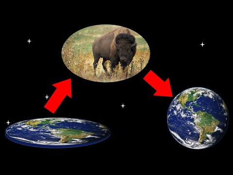 Debunking flat earth once and for all - But it's a rap (Prod. by Sedivi)
