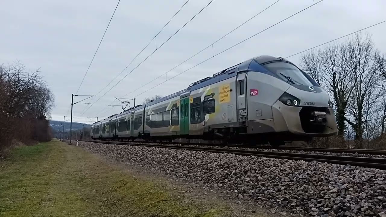 Les trains de la ligne Dole - Belfort à Chalzeule et en gare de Franois