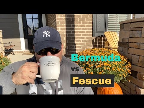 Vídeo: Diferencia Entre Bermuda Grass Y Fescue Grass