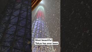 Beautiful snow in Tokyo! #japan #tokyo #snow #beautiful #winter