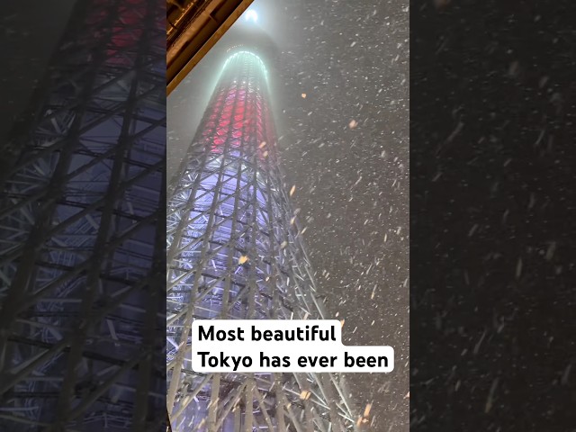 Beautiful snow in Tokyo! #japan #tokyo #snow #beautiful #winter