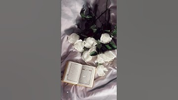 تلاوة من سورة مريم ❤🌸 #فلسطين #quran #القرآن_الكريم