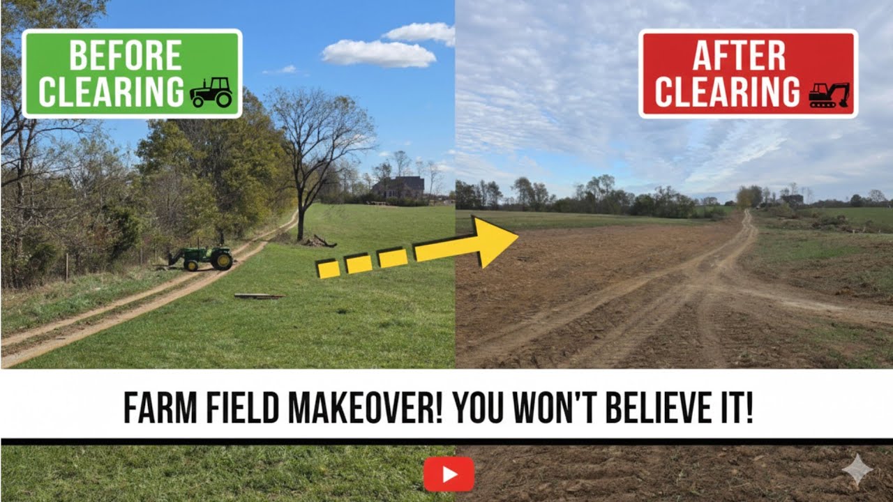 Fence Row Removal Starts Our Biggest Farm Upgrade Yet