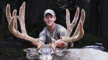 A TRUE Backcountry GIANT! Bow hunting Deer (Eastmans