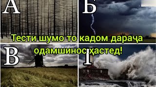 картинка: ТЕСТИ ОЁ ШУМО ОДАМШИНОСЕД Ё НЕ!