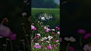 Surah tauba ki tilawat Urdu tarjuma K sath #quran #shorts
