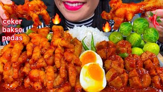 MAKAN CEKER BAKSO PEDAS *SPICY MEATBALL, CHICKEN FEET, RICE ASMR MASSIVE Eating Sounds