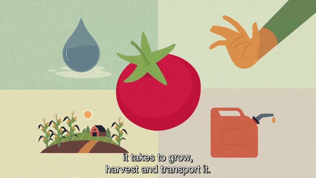 Food Loss Research Program - YouTube