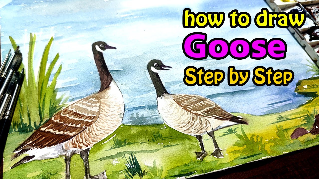 how to draw goose step by step | goose watercolour painting - YouTube