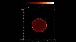 White dwarf temperature in meridional plane