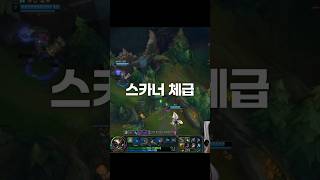 스카너 체급 ?