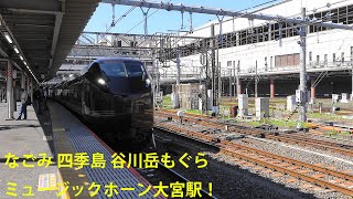 なごみ 四季島 谷川岳もぐらのミュージックホーン大宮駅