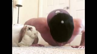 Do you even Lift Bro?