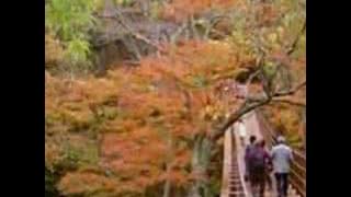 加山雄三 Kayama Yuzo - Someday Sometime