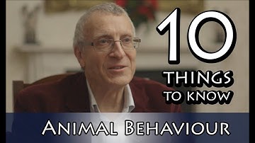 Animal Behaviour: A Very Short Introduction | Tristram D. Wyatt
