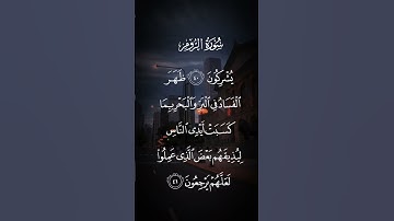 سورة الروم ظهر الفساد في البر والبحر بما كسبت أيدي الناس ليذيقهم بعض الذي عملوا لعلهم الايه ٤١