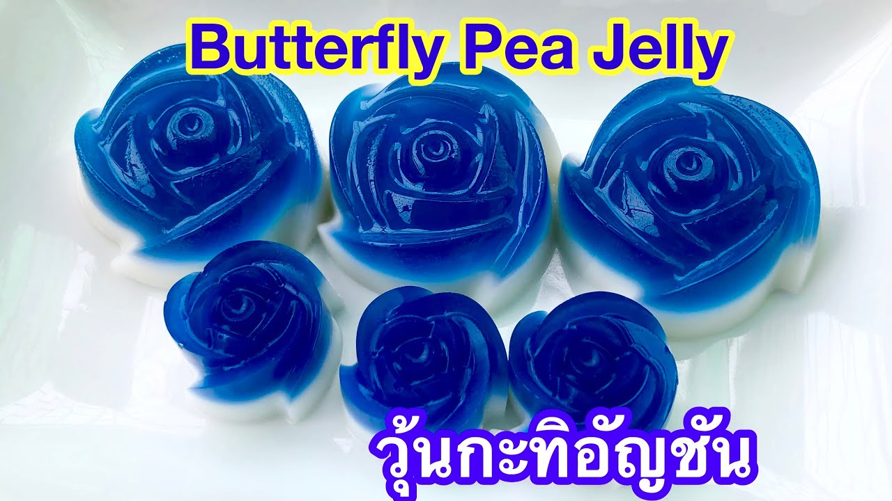 วุ้นกะทิอัญชัน วิธีทำง่ายมาก | Butterfly Pea with Coconut Milk | | ข้อมูลที่อัปเดตใหม่ที่เกี่ยวข้องกับอุปกรณ์ ทํา วุ้น กะทิ
