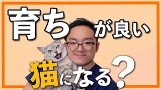 【子猫のしつけ】子猫のうちにした方が良かったことを獣医さんが紹介！！～ご飯・コミュニケーション・爪切り・歯磨き～