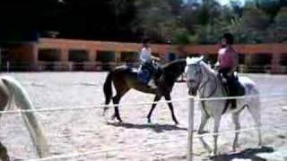 Meytal Lara Alvarado - Clases de caballo 2