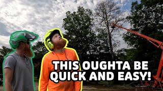 Removing a dead oak and dead pine tree on the Fourth of July! #treeremoval #cajuntreecutters